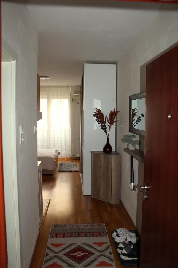 Downtown Apartment Novi Sad Esterno foto