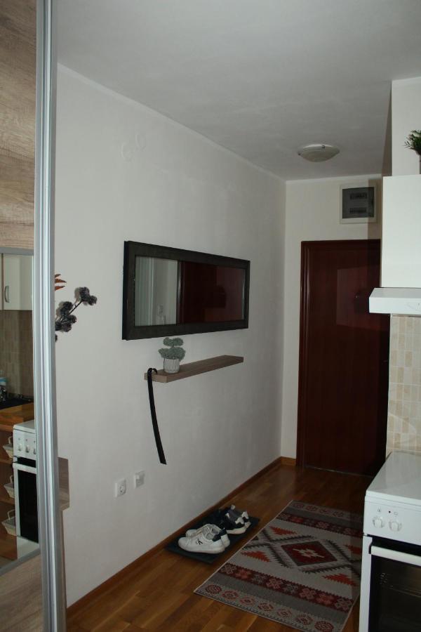 Downtown Apartment Novi Sad Esterno foto