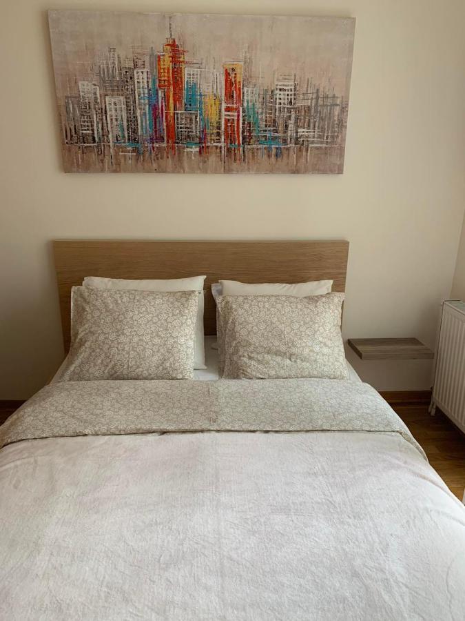 Downtown Apartment Novi Sad Esterno foto